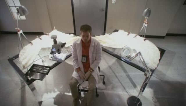 File:DexterS6Pic8.jpg