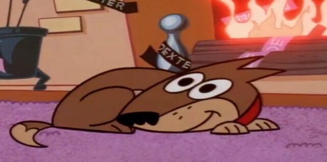 File:DextersDog.jpg