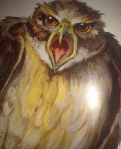 File:Hawk.jpg