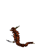 Cave Viper-2.gif