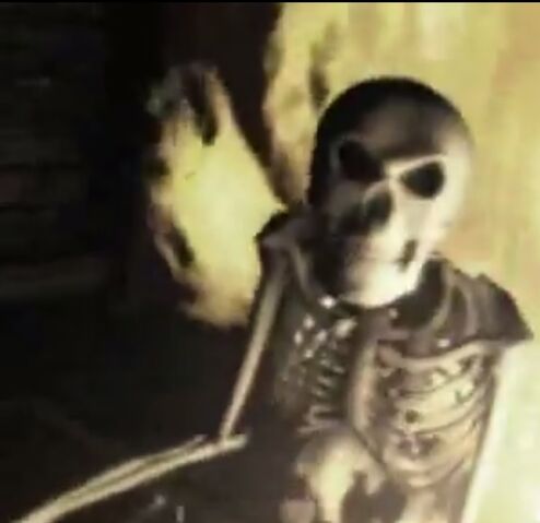 File:Skeleton-D2Intro2.jpg