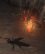 Naja Beetle