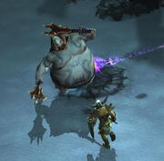 Colossal golgor2