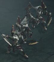 WingedAssassins