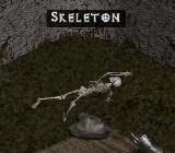 Skeleton Body
