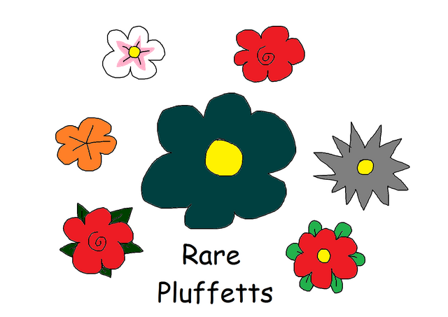 File:Rare Pluffetts.png