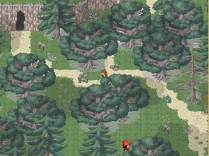 Forest Path