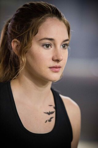 Datei:Movies-divergent-shailene-woodley-tris.jpg