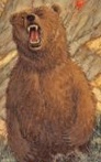 Bär.jpg