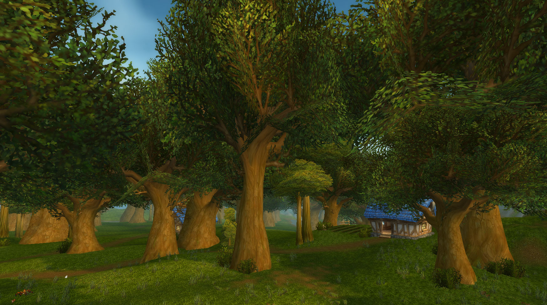 Wald von Elwynn.jpg
