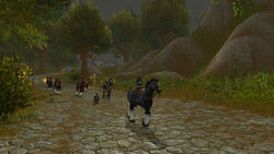 Laleh-adventure-01-003