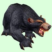 Bär.jpg