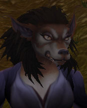 Nivalla02.jpg