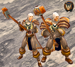 WdG - Paladin