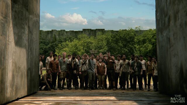Datei:Mazerunners world2.jpg