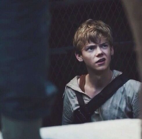 Datei:Newt5.jpg