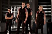 Clove 10.jpg