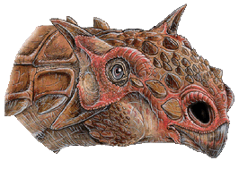 Tarchia gigantea-web