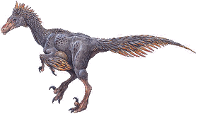 Unenlagia comahuensis