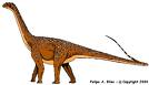 File:Argerntinosaurus.jpg
