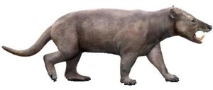 Arctocyon