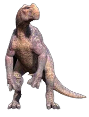Kron