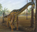 Thumbnail for version as of 02:55, November 20, 2009