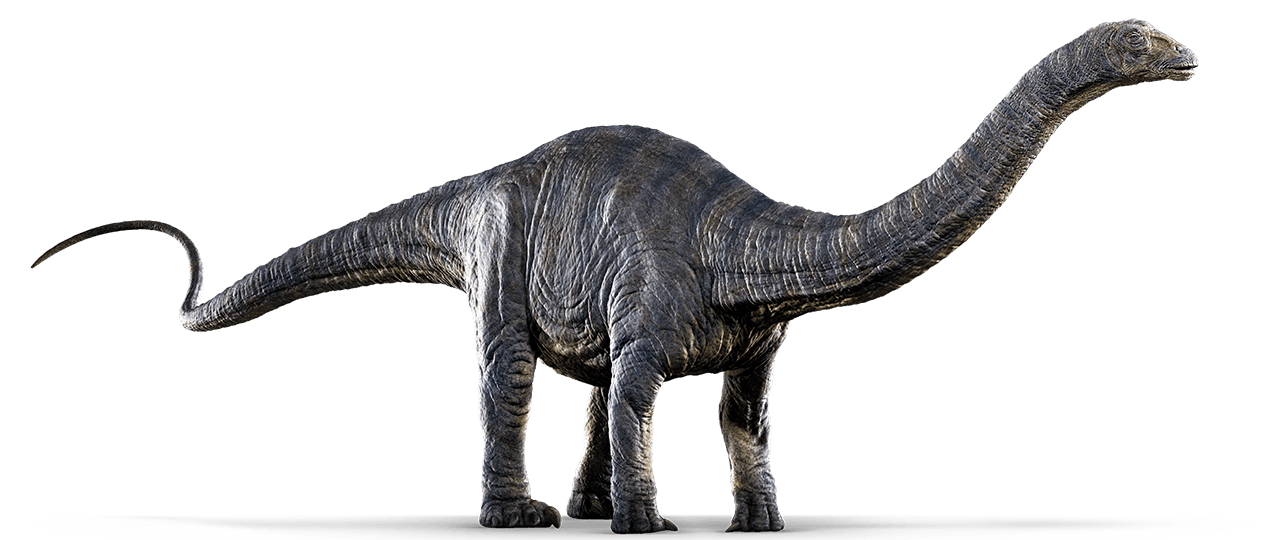 Apatosaurus | Dinosaur Wiki | FANDOM powered by Wikia
