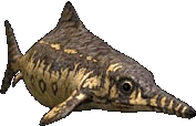 Ophthalmosaurus sm