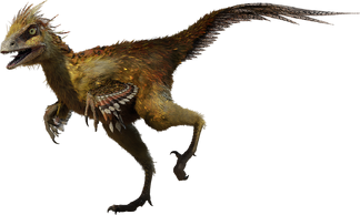 Small Hesperonychus
