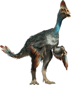WWDChirostenotes