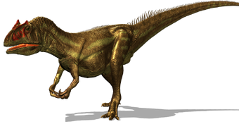Dino-allo