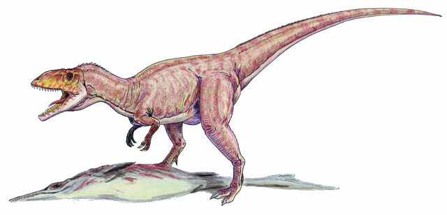 Datei:Eustreptospondylus dinosaur.wiki.jpg