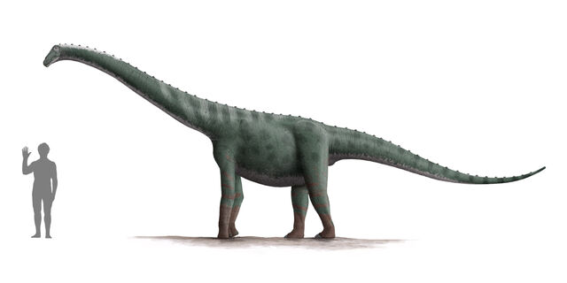 Datei:Rinconsaurus dinosaur.wiki.jpg