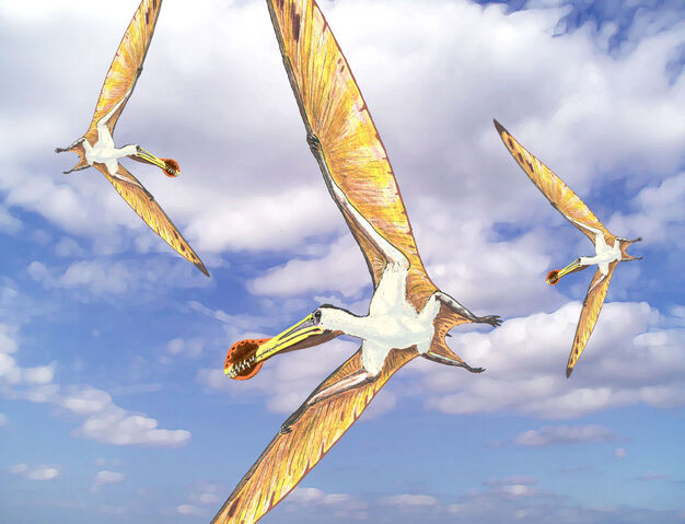 Datei:Tropeognathus dinosaur.wiki.jpg