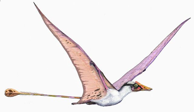 Datei:Campylognathoides dinosaur.wiki.jpg
