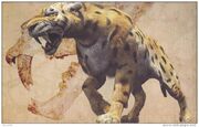 Amphimachairodus