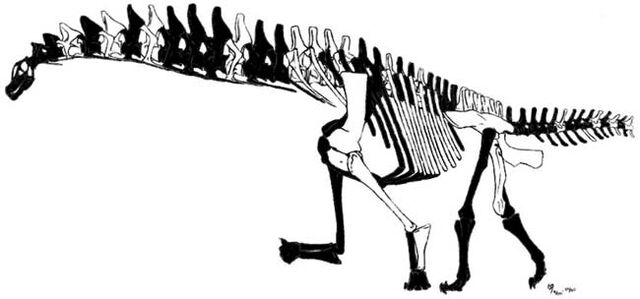 File:Isisaurus skeleton.jpg