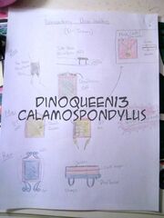DH Paleocademy