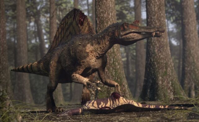 File:Spino on Land.jpg