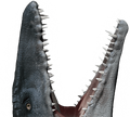 Thumbnail for version as of 22:54, October 4, 2015