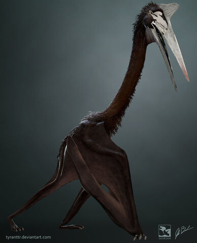 File:Saurian quetzalcoatlus by arvalis-d8bkr5s.jpg