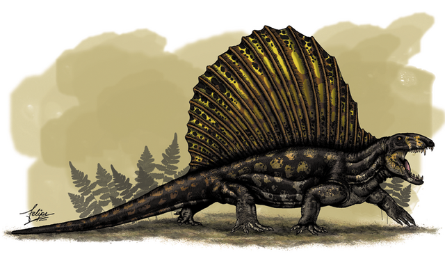 File:Dimetrodon Grandis.png