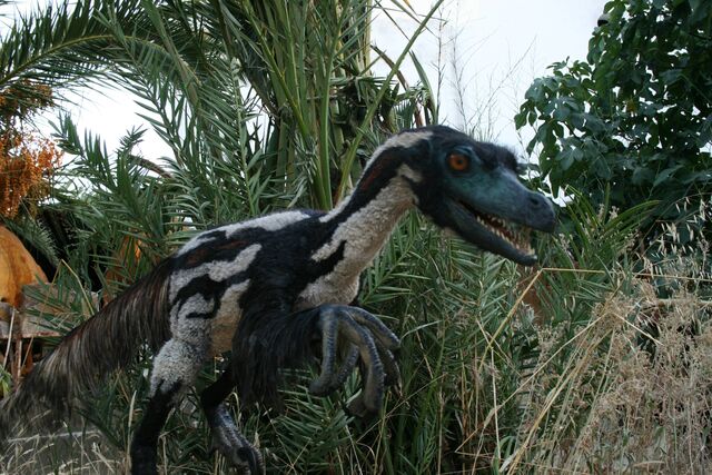 File:Velociraptor-by-Salvatore-Rabito-Alcón.jpg