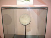 Egg of a dino