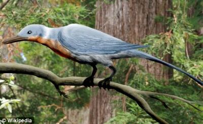 Enantiornithines