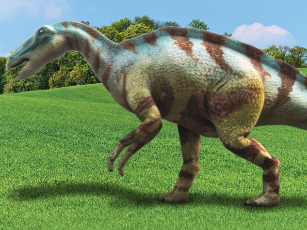 dino dan diplodocus