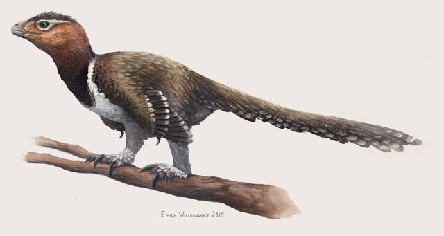 File:Balaur1.jpg