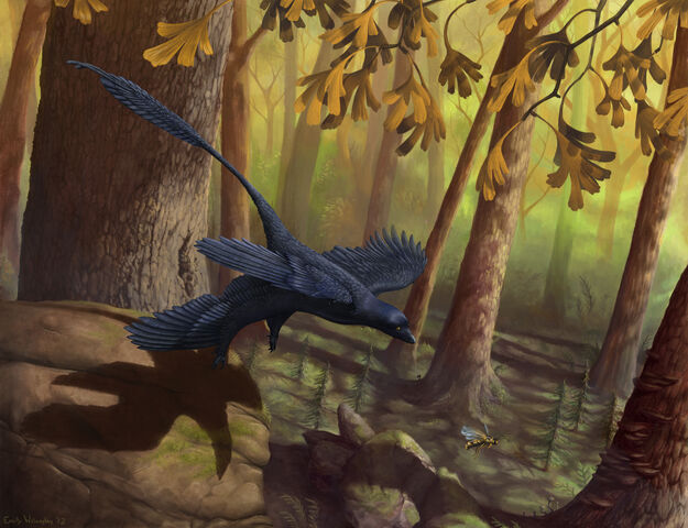 File:Microraptor-takeoff.jpg