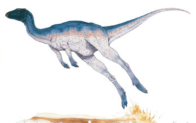 Zephyrosaurus